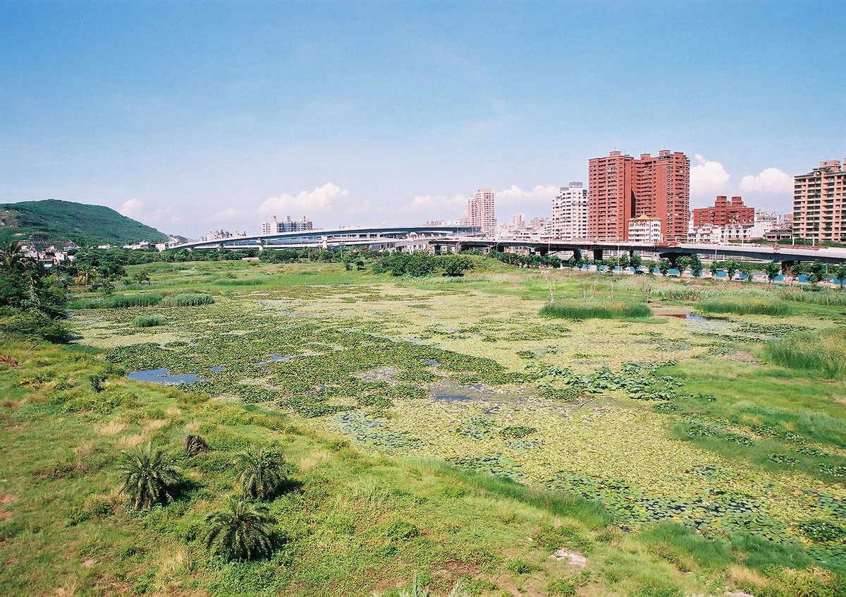 洲仔濕地公園風光