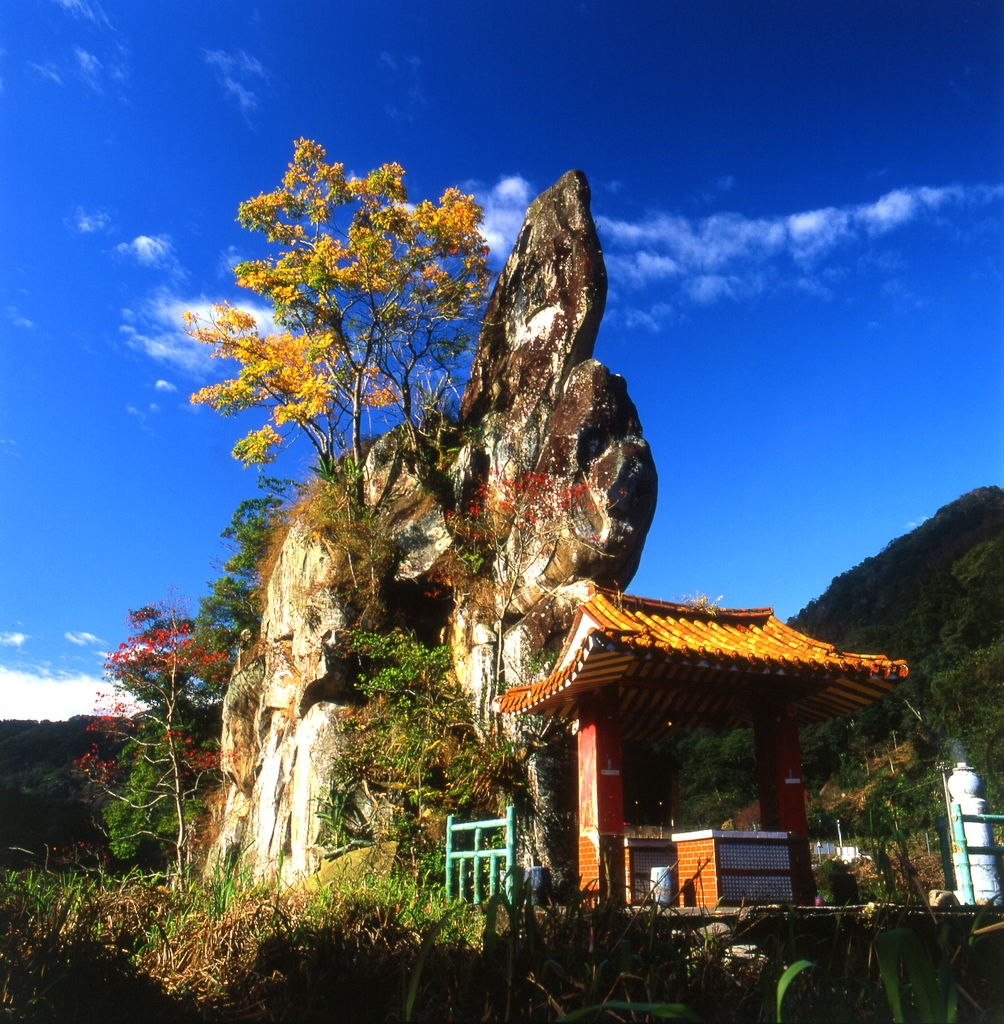 Jianshi Giant Trees