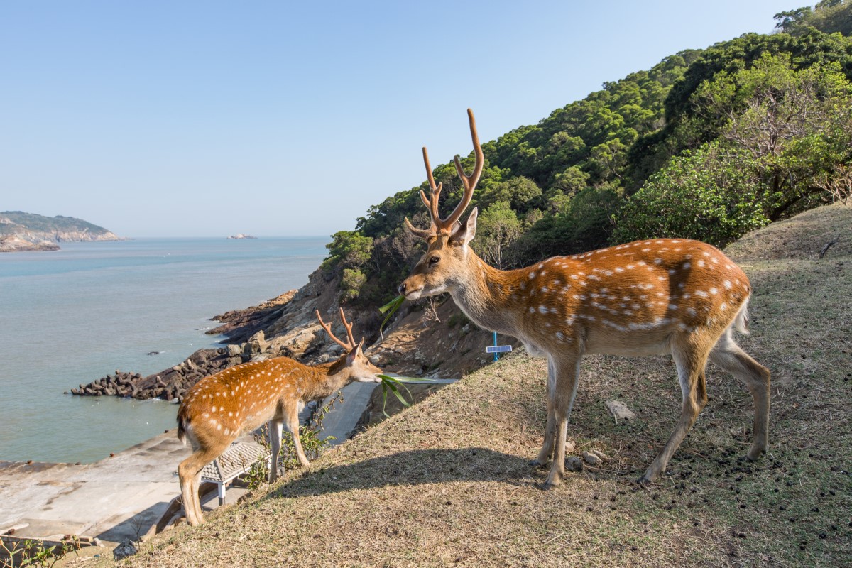 大坵島> 觀光景點