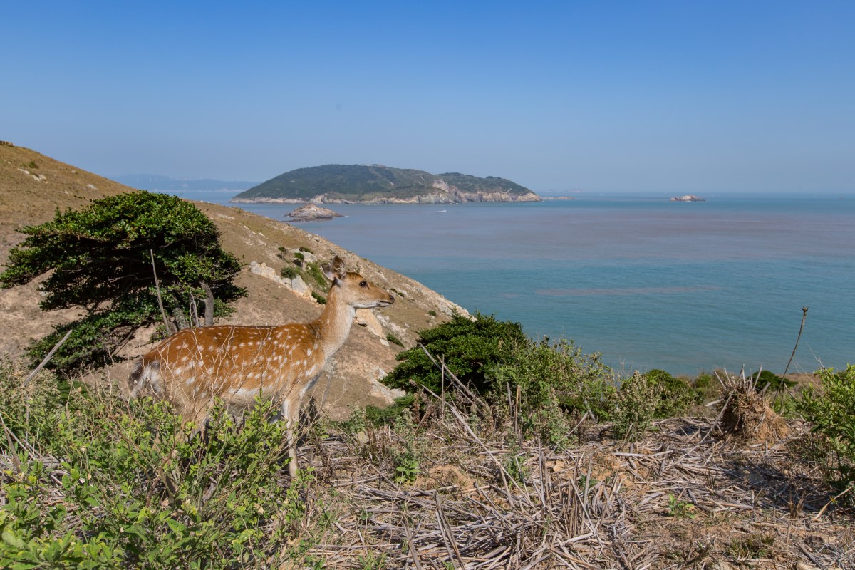 大坵島美景