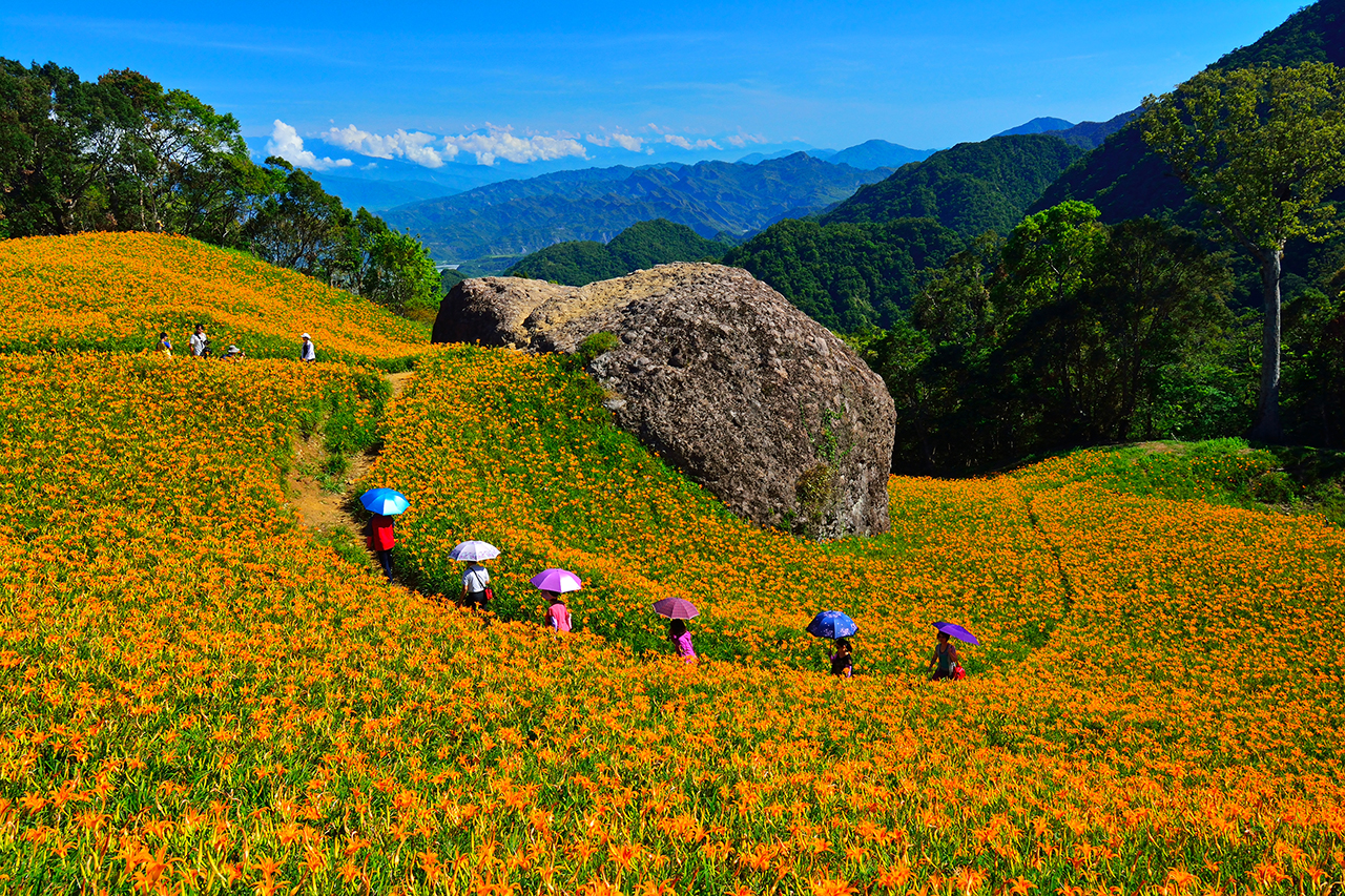 花東縦谷国家風景区-鶴岡ビジターセンター