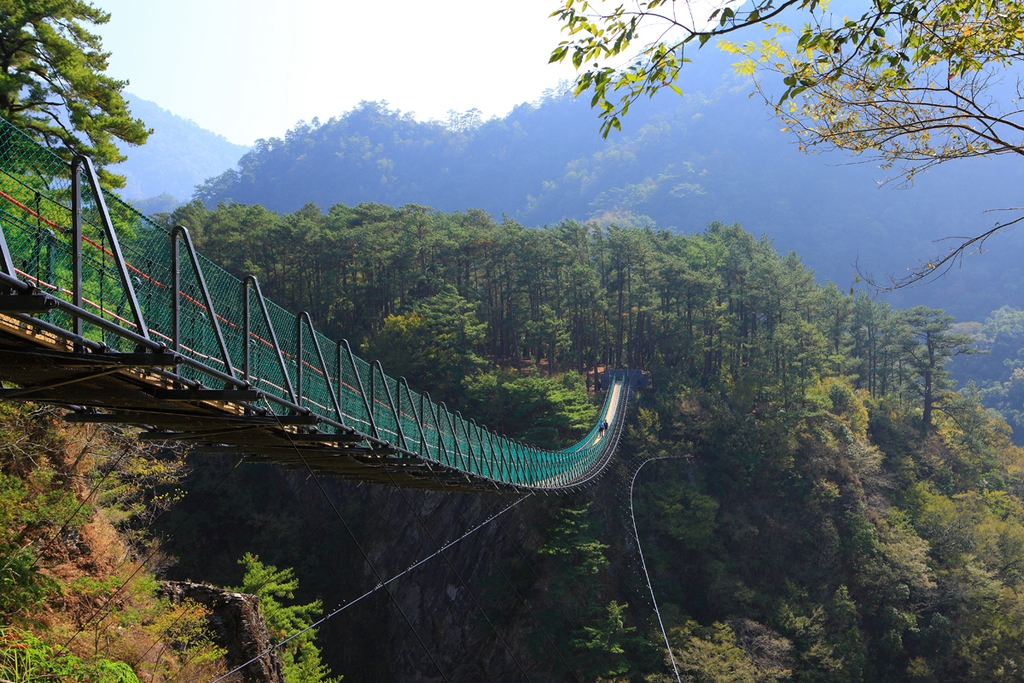 奧萬大吊橋