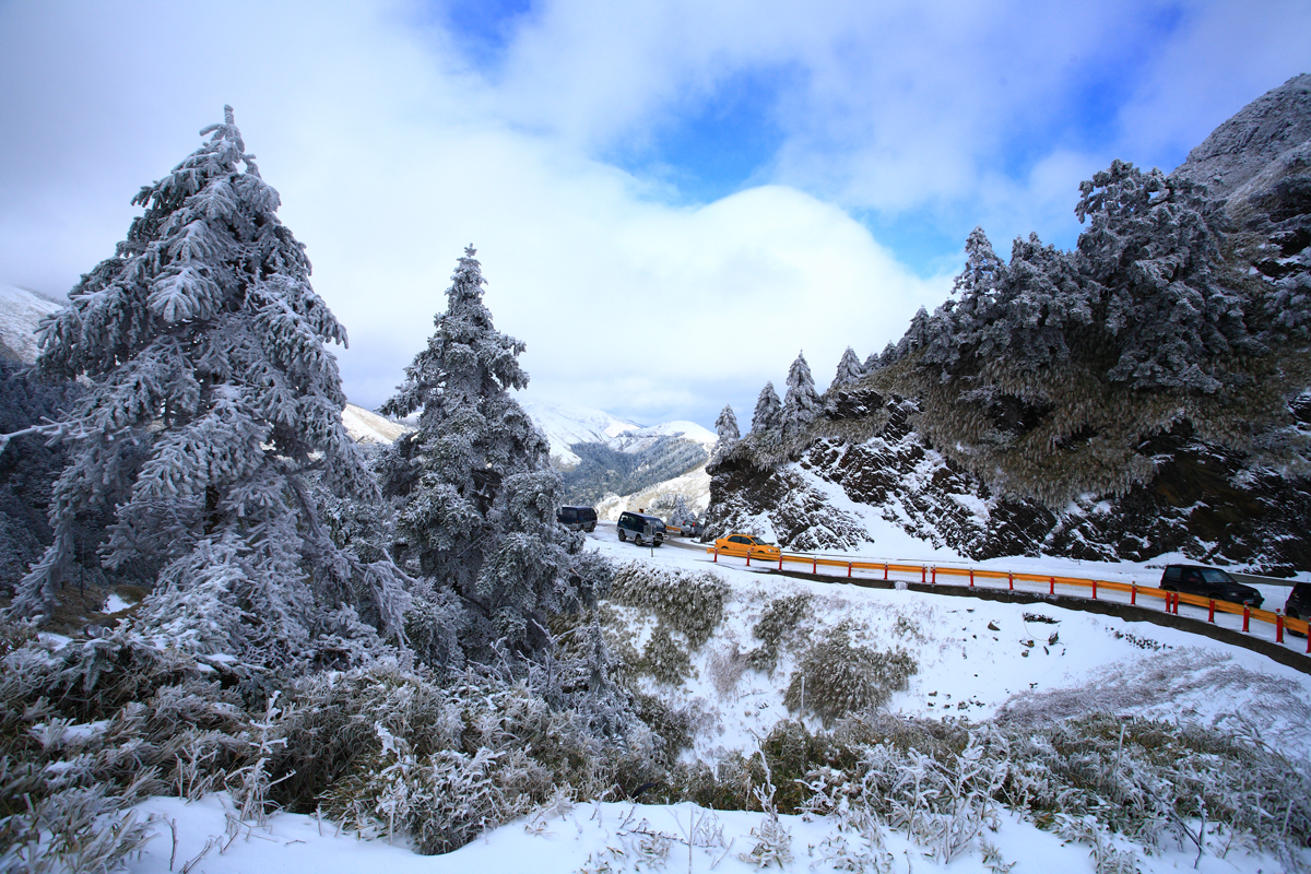 合歡山森林遊樂區美景