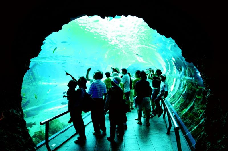 國立海洋生物博物館_海底隧道