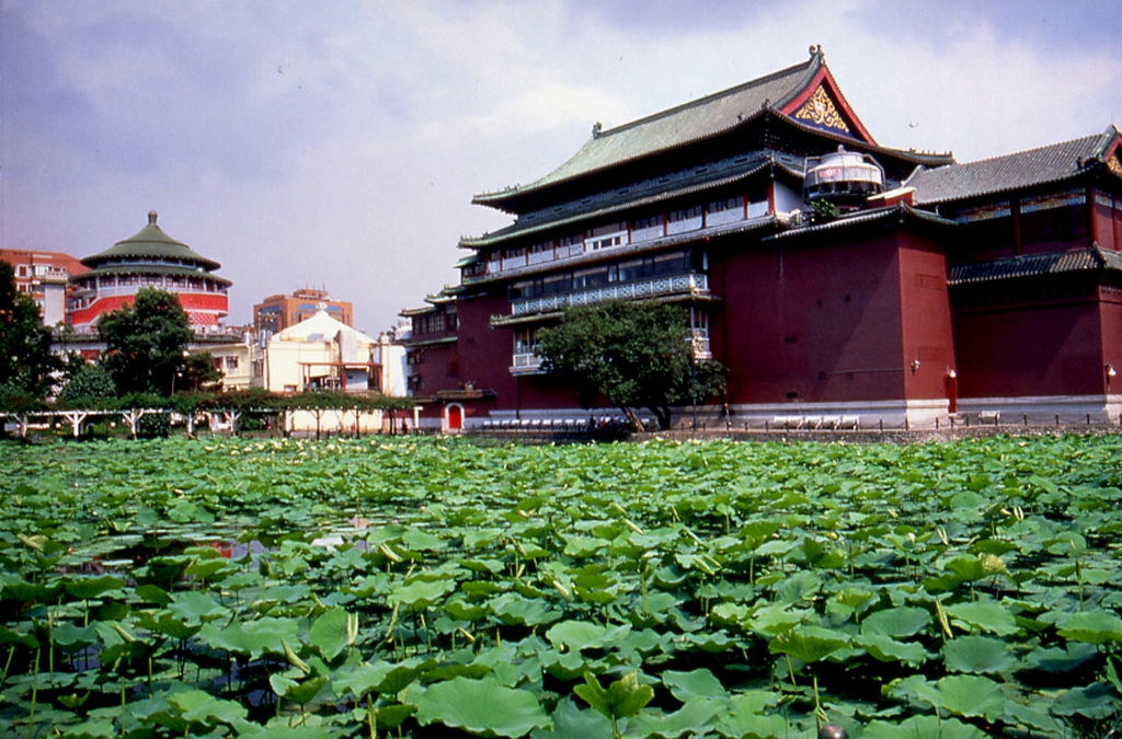 從植物園眺望國立歷史博物館