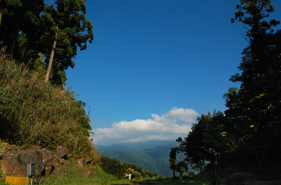 東眼山國家森林遊樂區