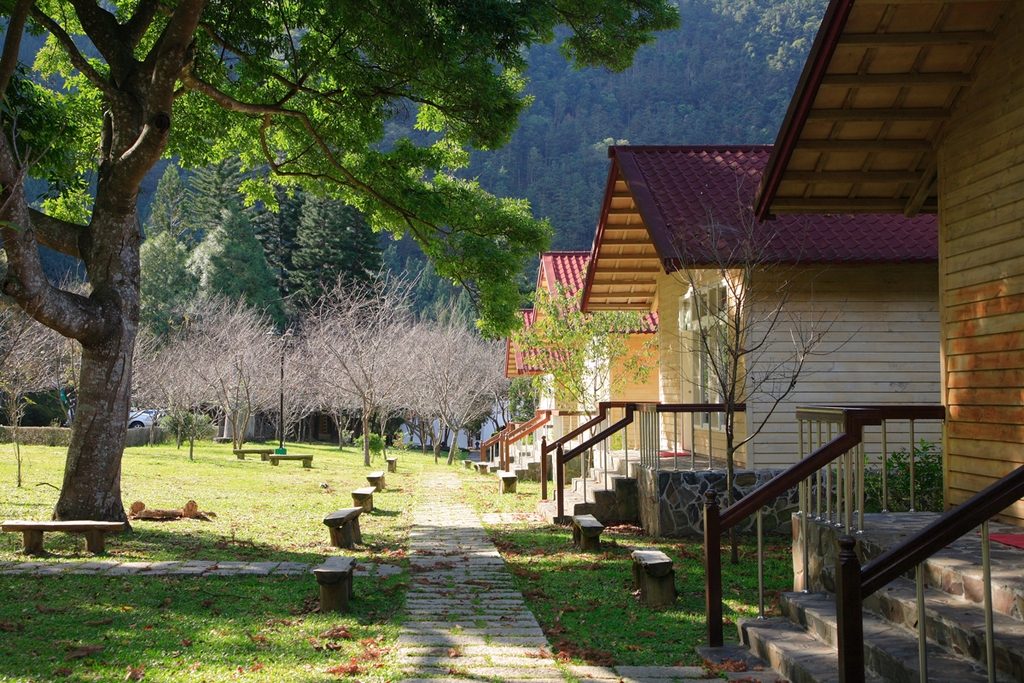 Huisun Forest Area