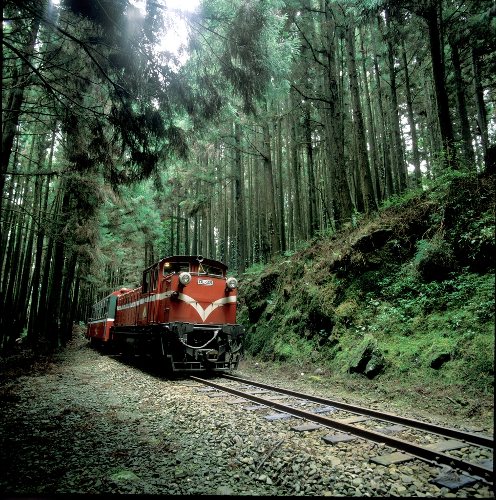 阿里山森林鐵道