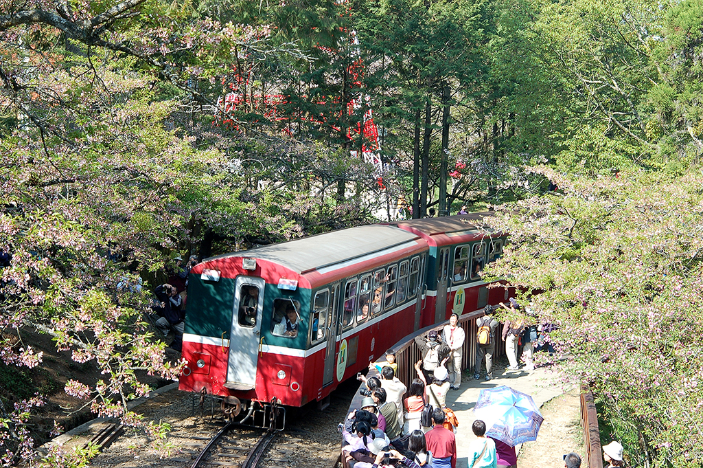 行進中的阿里山火車