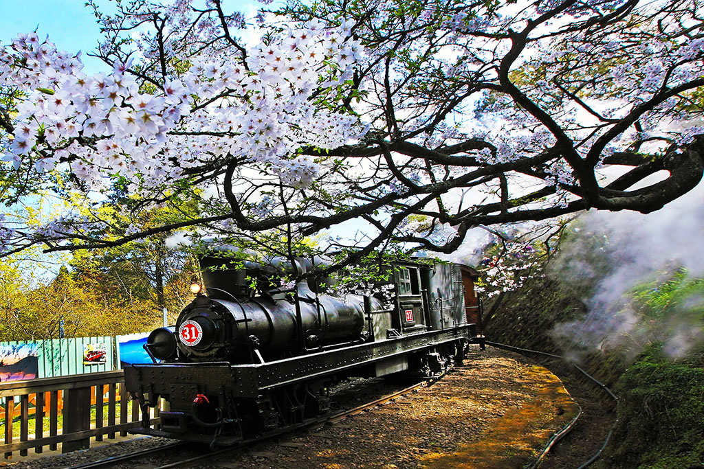 阿里山森林鐵路