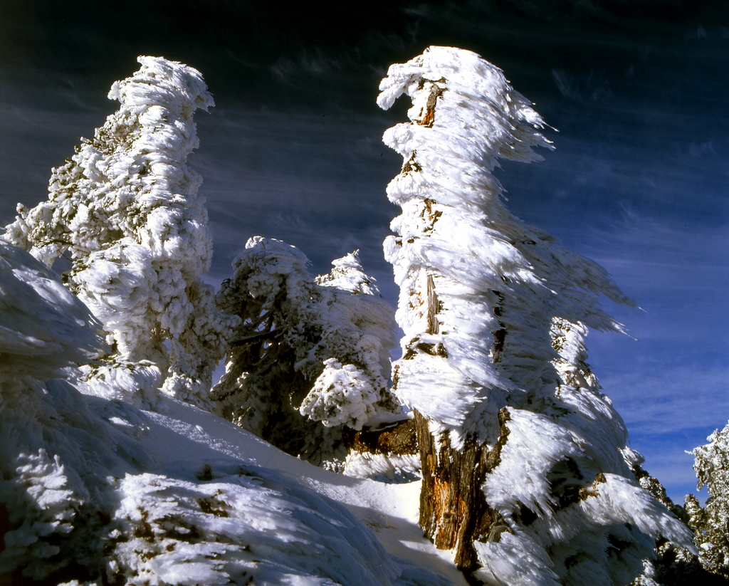 雪景