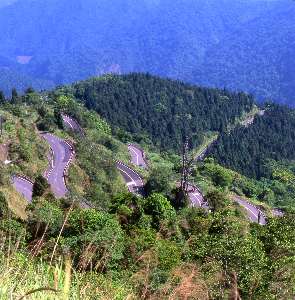 太平山國家森林遊樂區