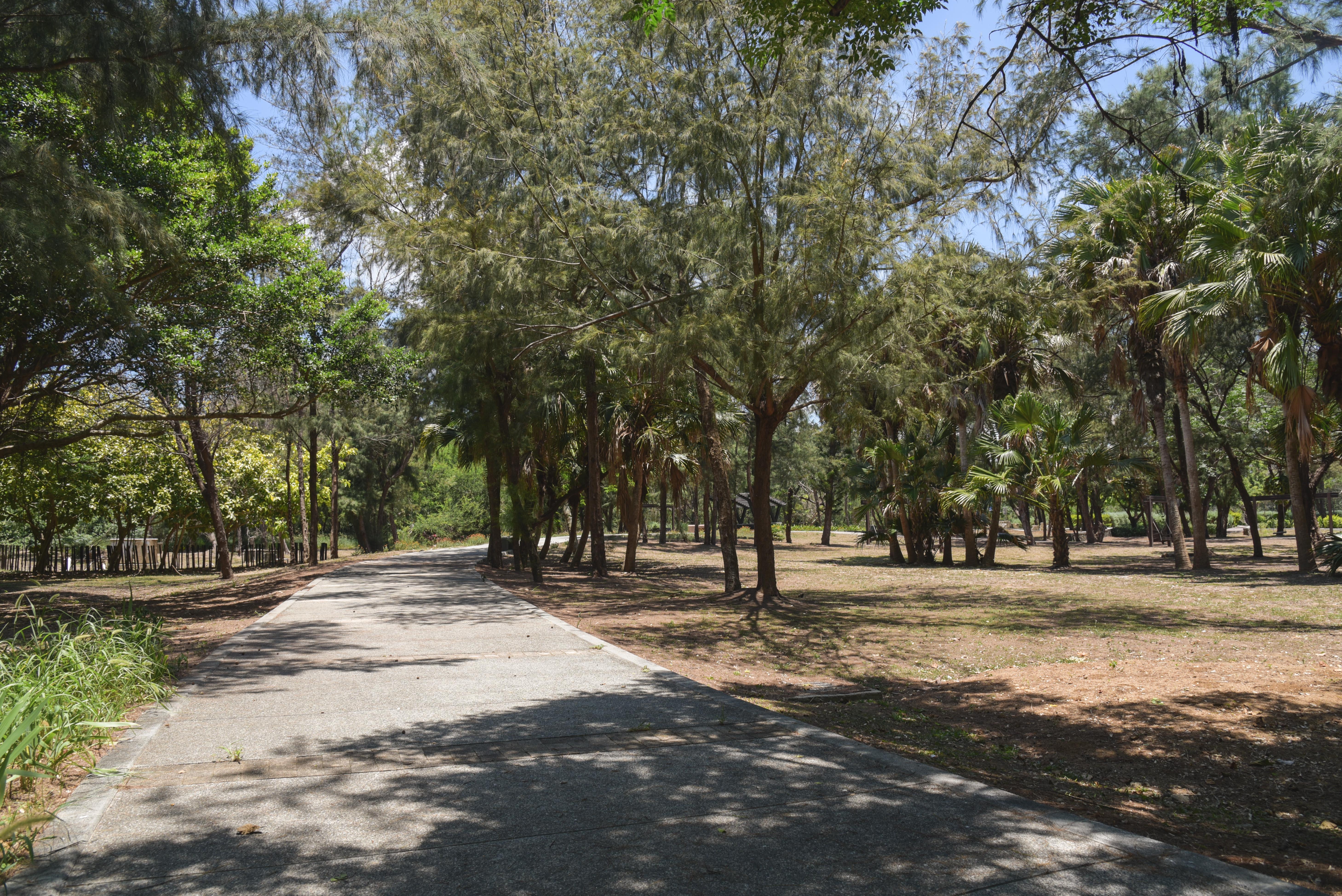 林投公園步道