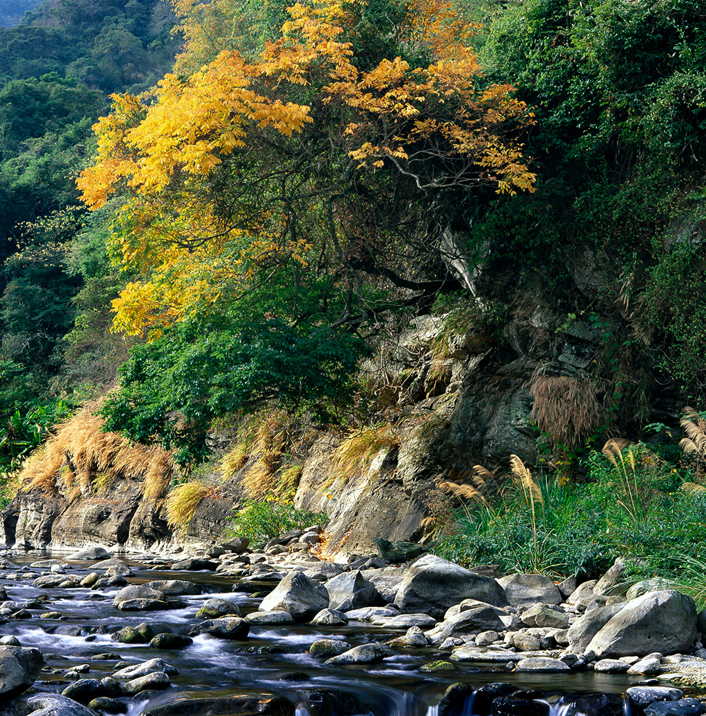 東河休閒農場