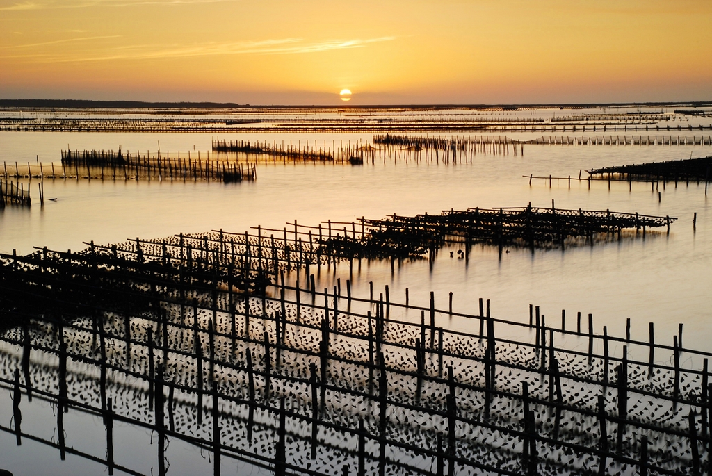 七股潟湖夕彩