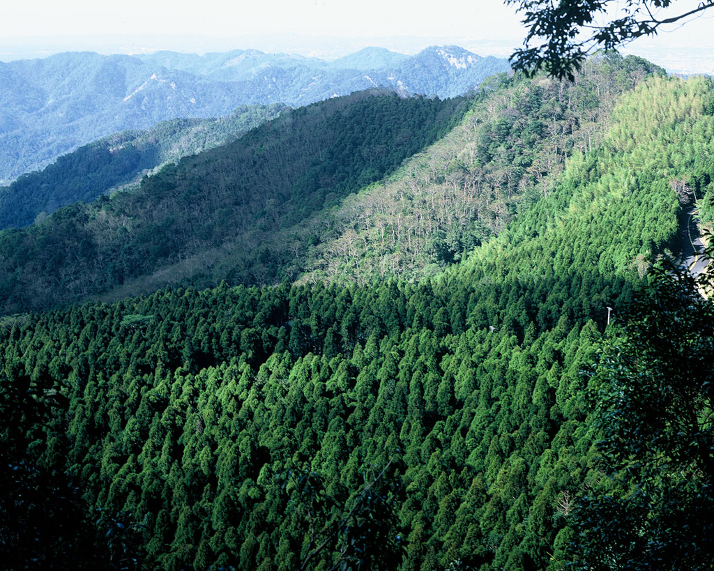 é¦¬æ­¦é£å³°ç±æ¬ååé çºå°é¢çé¦¬æ­¦ç£å±±ï¼çºæ©æéè¥¿å«æ¯ä¹ä¸