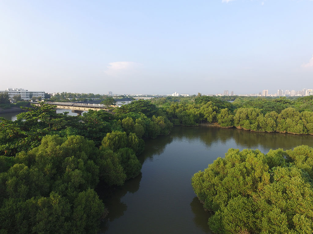 援中港濕地西區河道