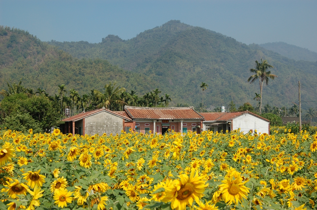 Meinong District, Kaohsiung City: Hakka Beauty and Hospitality