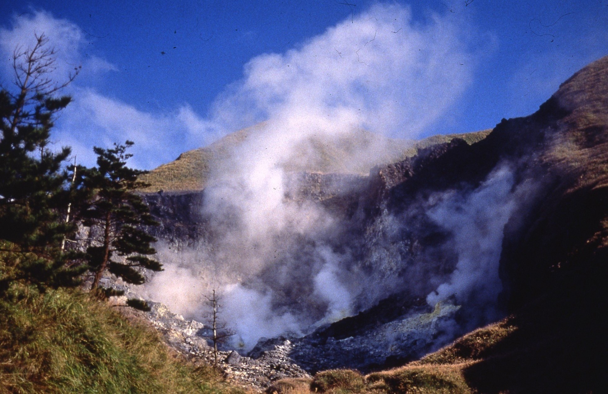 Aguas termales de Yangmingshan