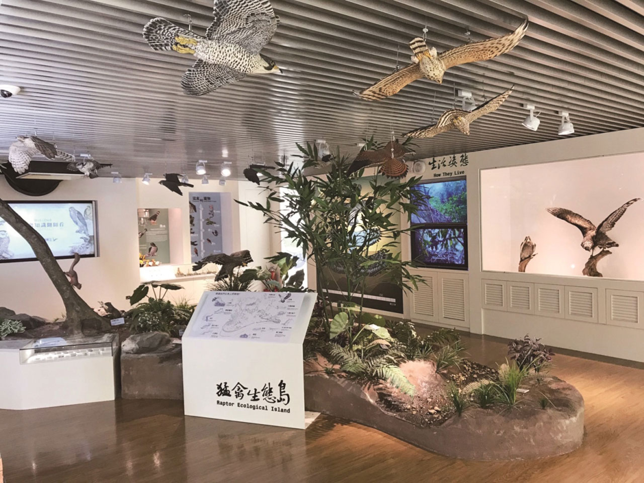 観音山猛禽展示館