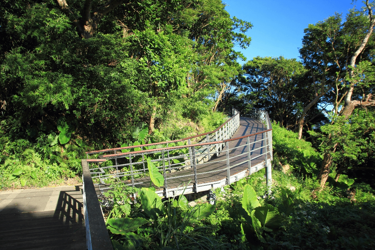 観音山生態園区と林梢歩道