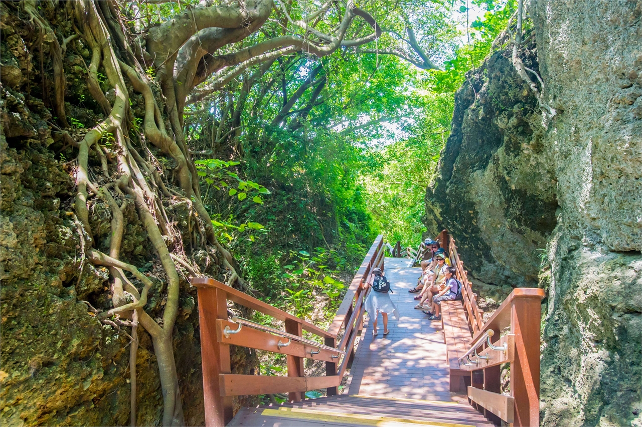 山豬溝步道