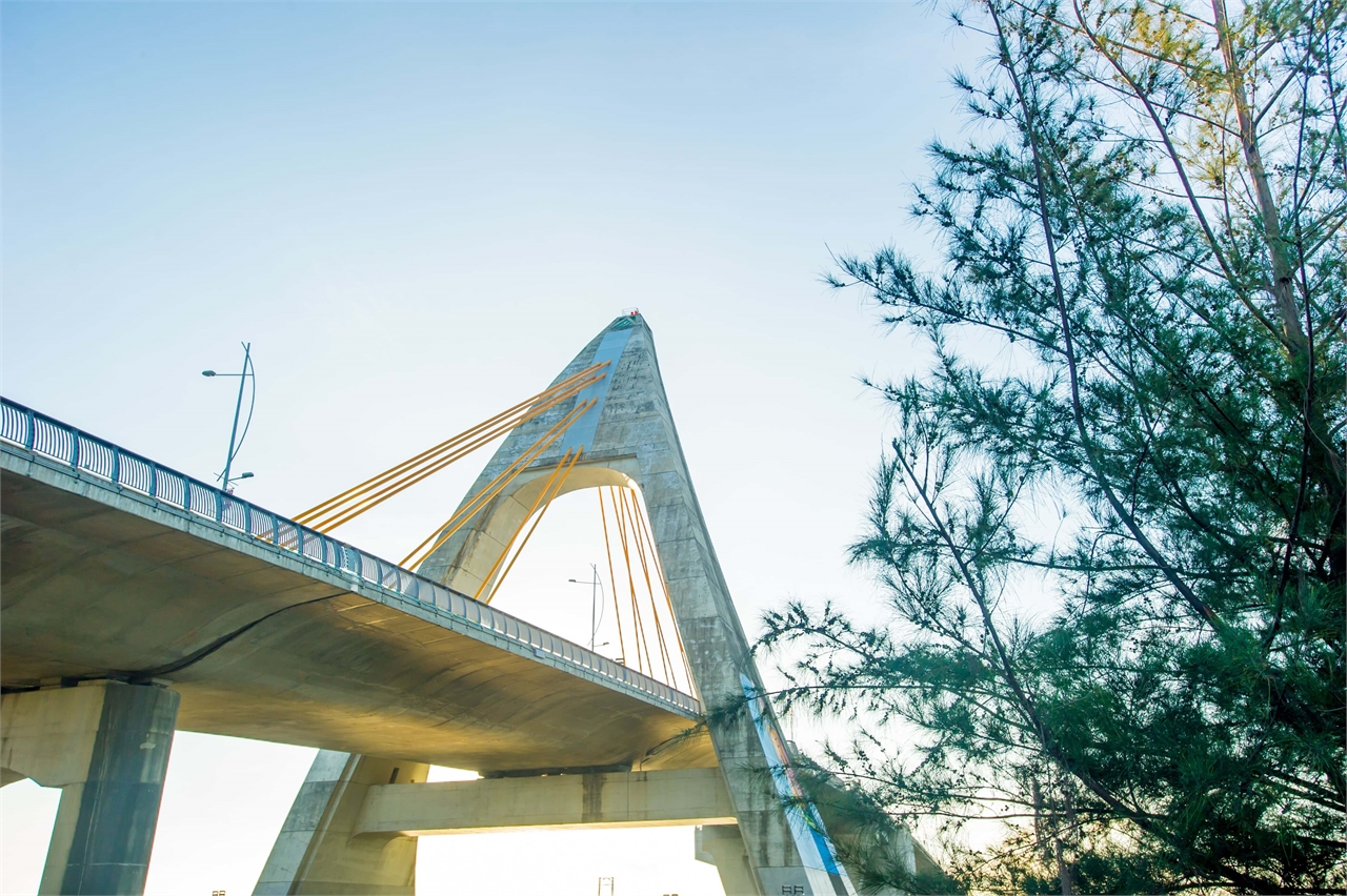 近距離觀賞鵬灣跨海大橋