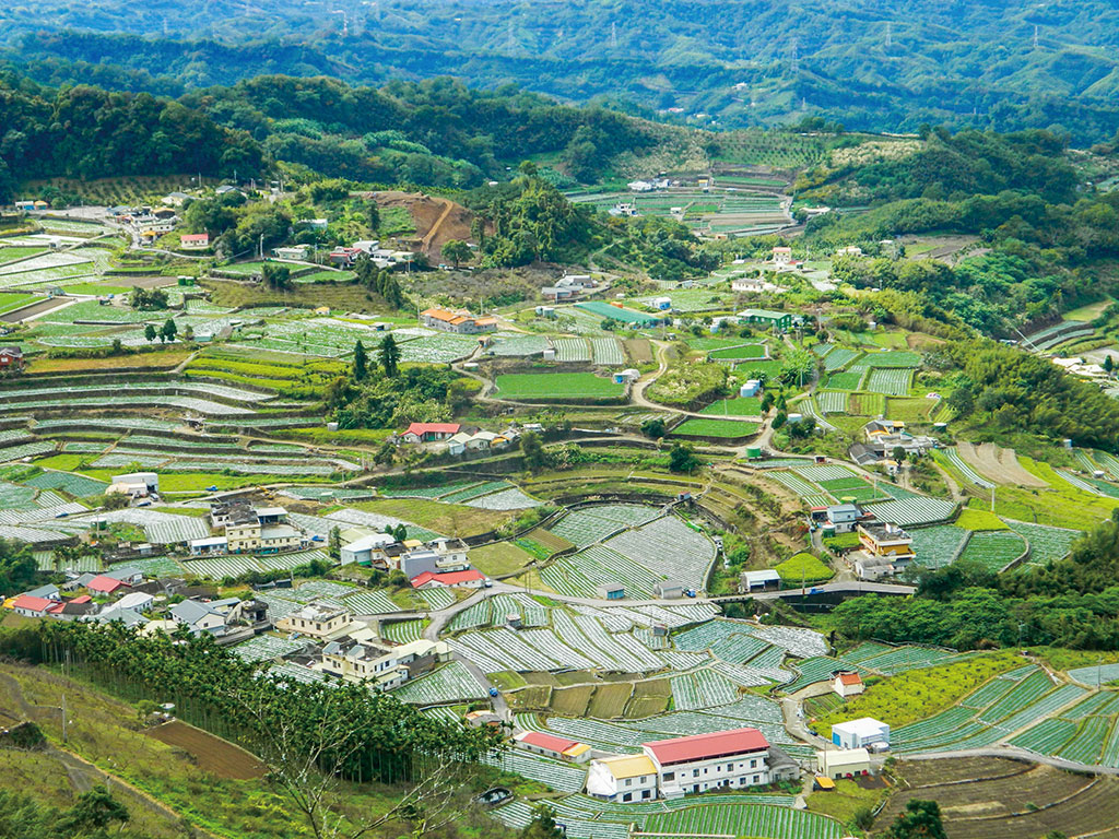 馬那邦山山頂俯瞰風景(苗栗縣政府文化觀光局提供)