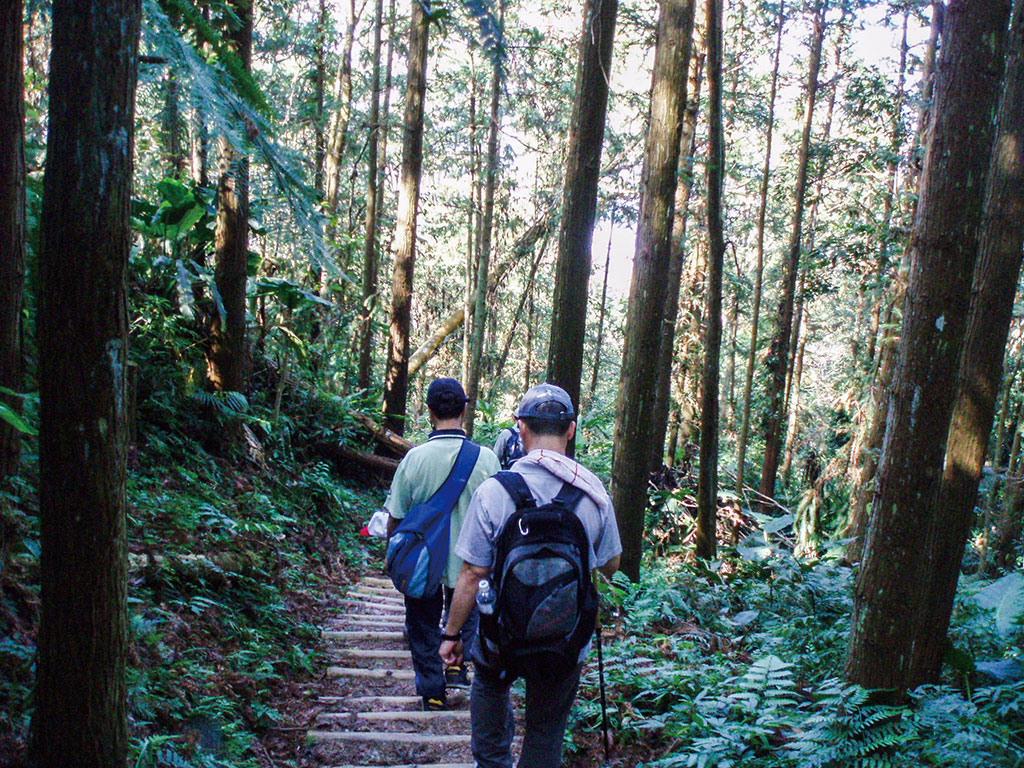 馬那邦山登山步道(苗栗縣政府文化觀光局提供)