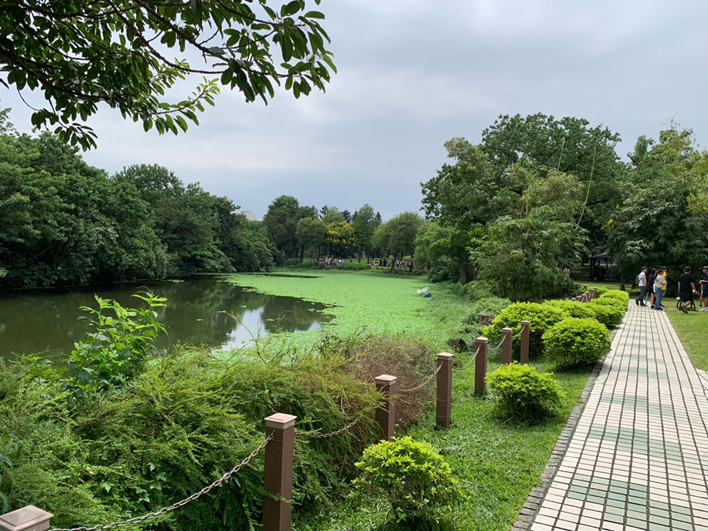 大安森林公園生態池