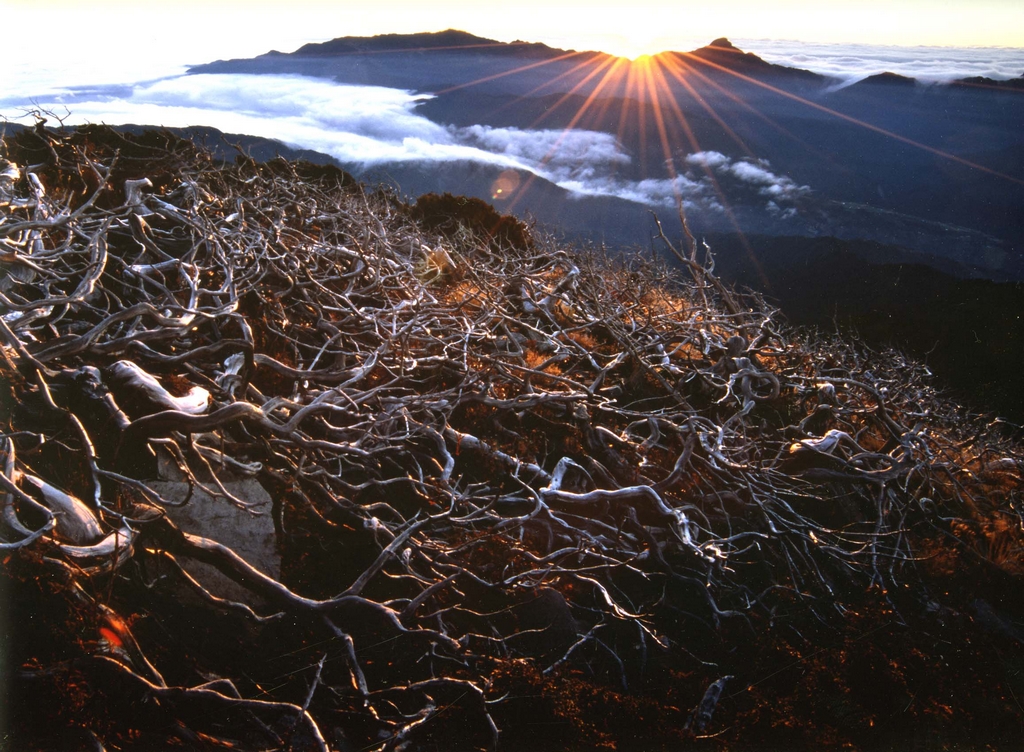 Dasyueshan National Forest Recreation Area