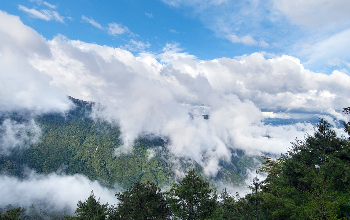 大雪山國家森林遊樂區-雲海