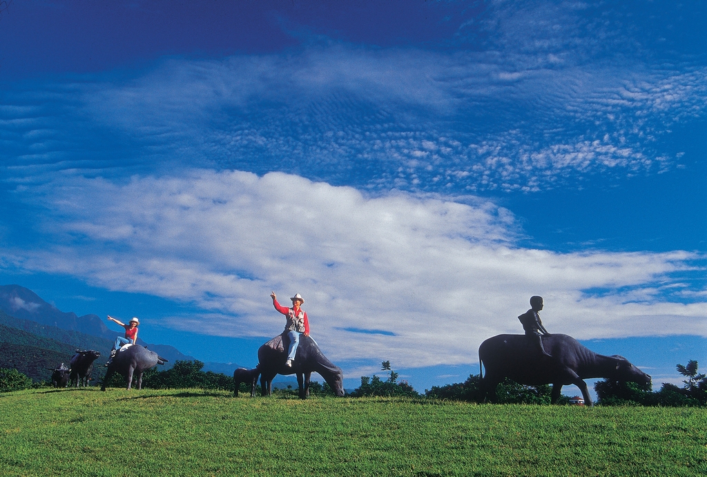 Granja de Ocio Xinguang Zhaofeng