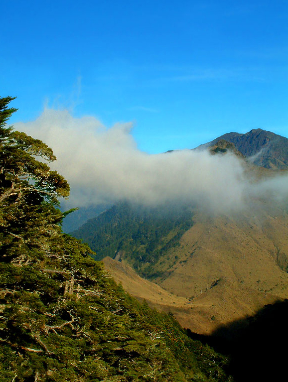 八通關古道風景