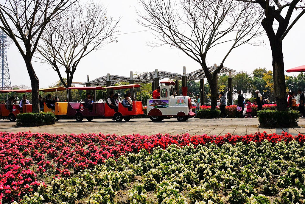 遊園車．賞花趣,2021花在彰化