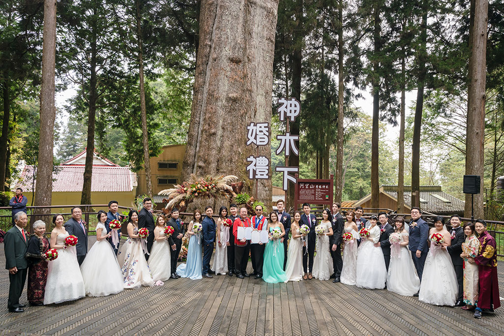  千年神木見證下浪漫婚禮