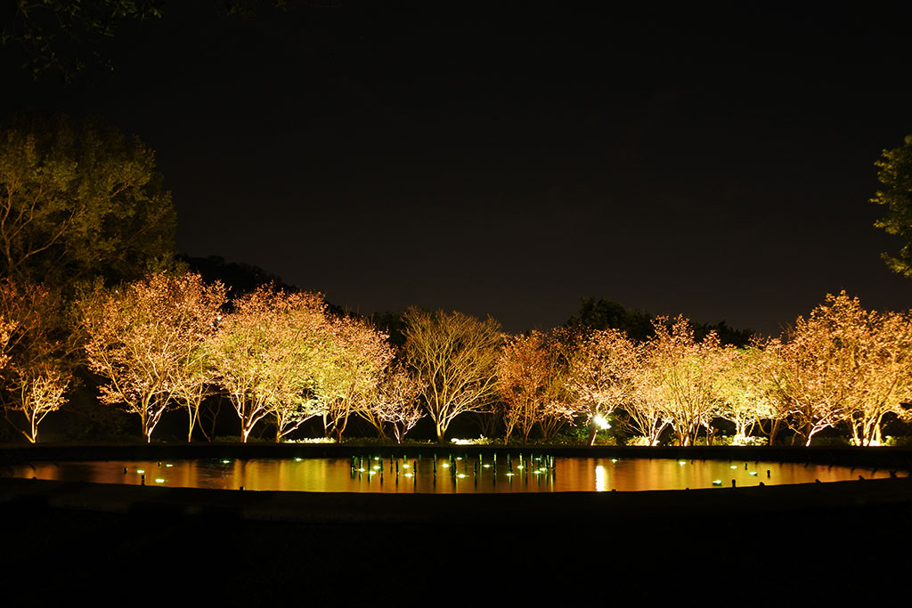  陽明公園噴水池夜景