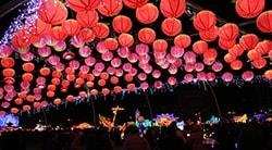 Traditional Festivals