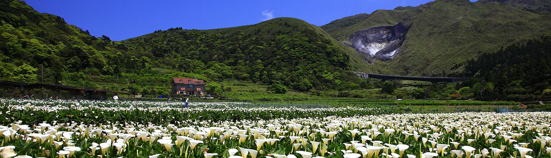 陽明山