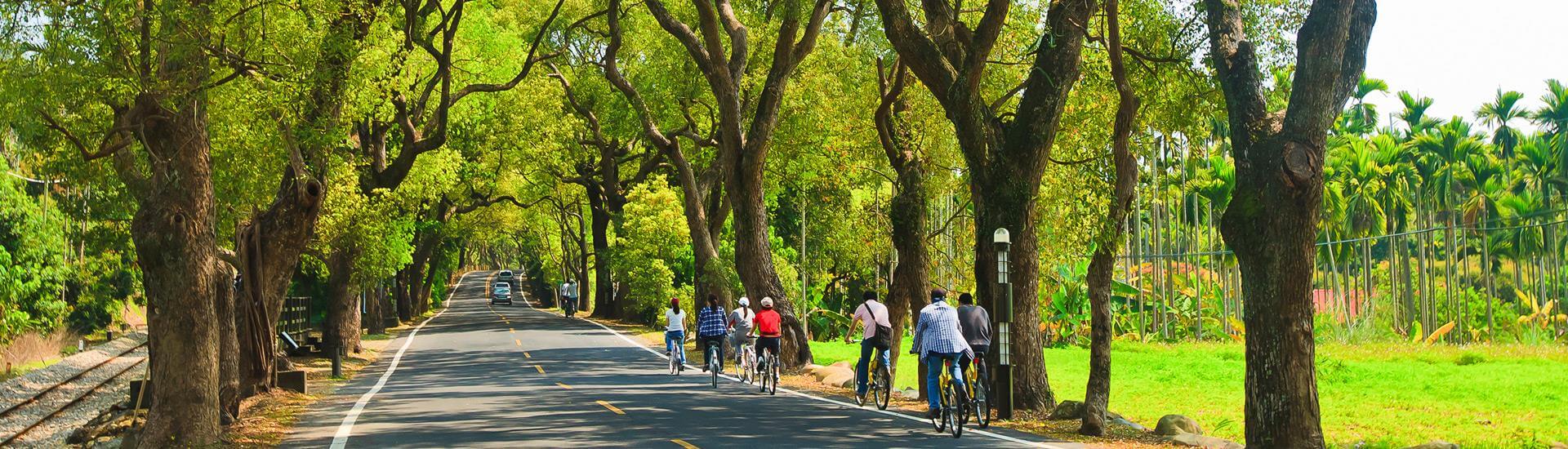 集集綠色隧道