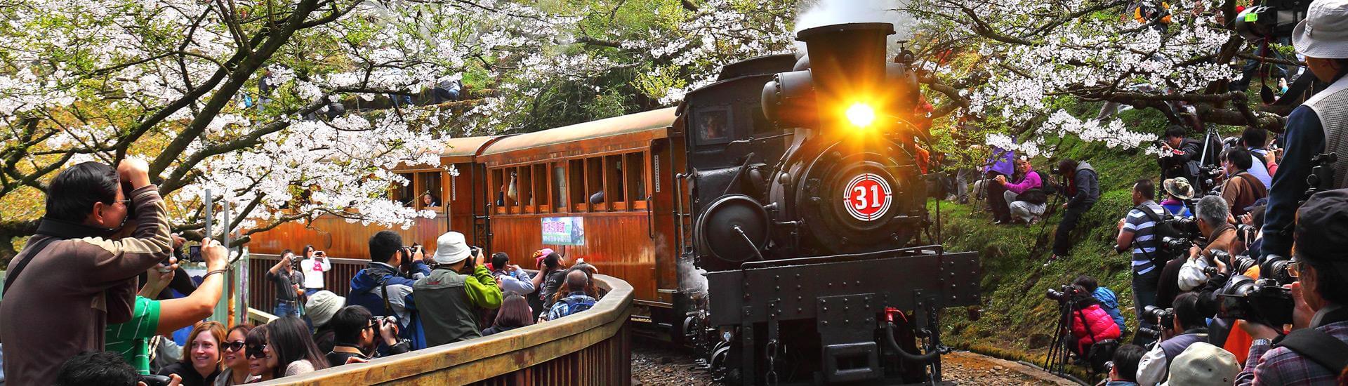 Ferrocarril forestal de Alishan