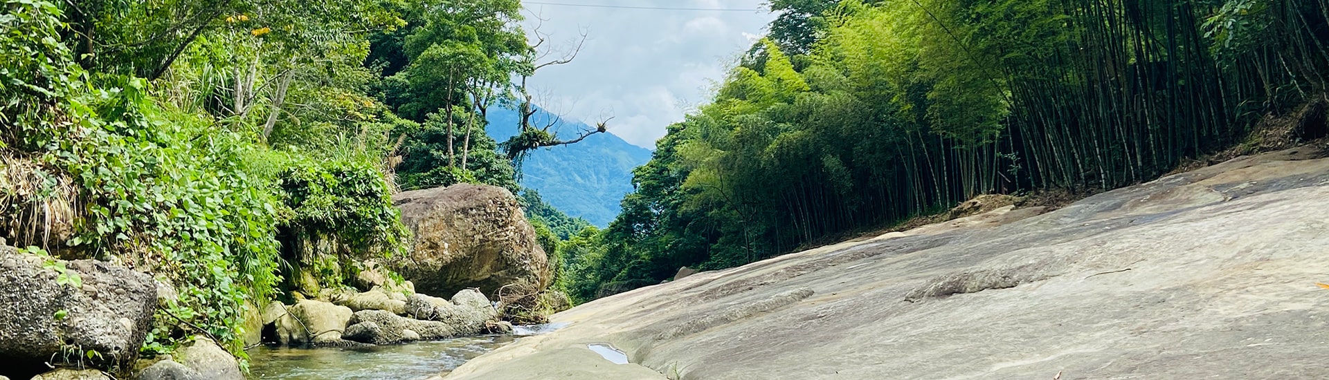 大草嶺觀光圈_內頁橫幅