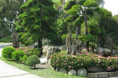 彰化縣借問站-田尾世外桃源休閒農場