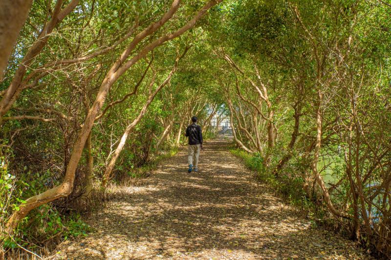 旅宿永續轉型不減服務溫度 觀光署：政策與國際接軌，旅客權益與便利兼顧