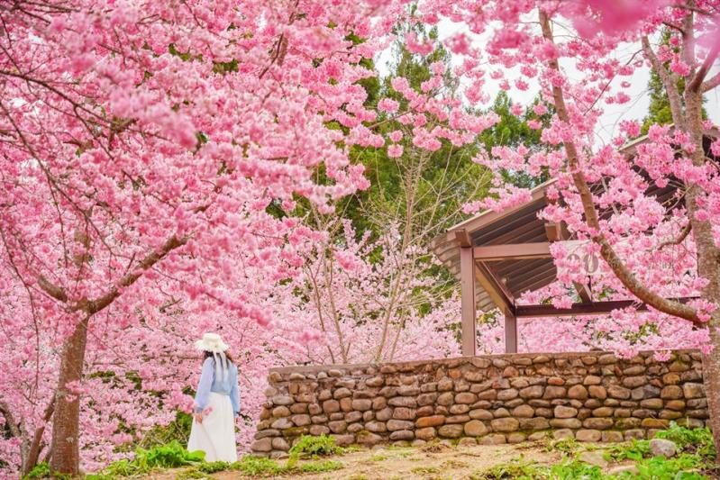 2026春節走春趣！觀光署精選全台山海亮點 邀您開啟馬年幸福漫遊新篇章