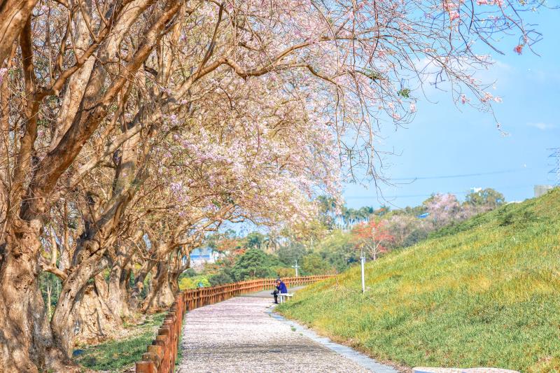 布局觀光兆元產業！ 觀光署關鍵人才培育計畫強化產業核心競爭力