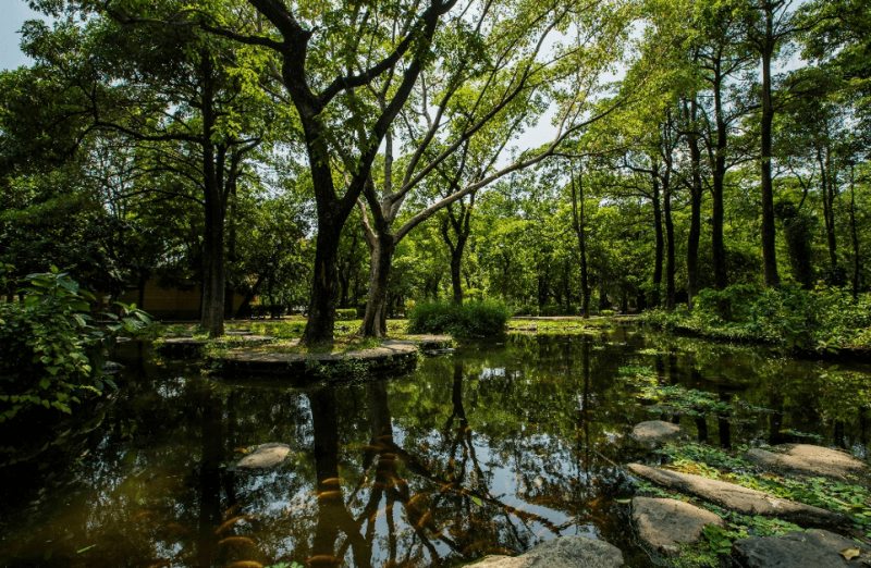 大東濕地公園