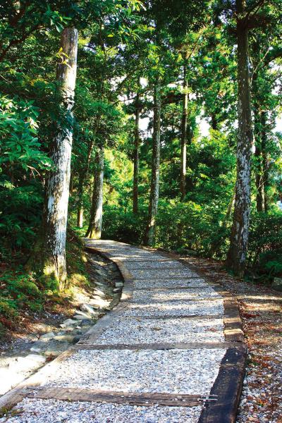東眼山森林遊樂區