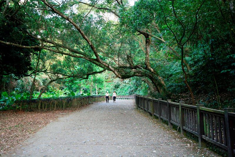 田中森林公園