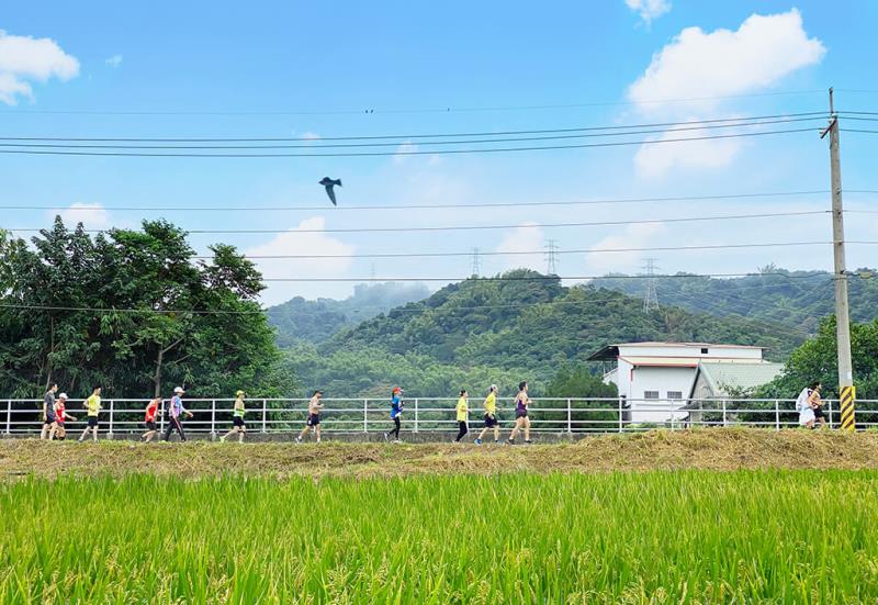 田中馬拉松